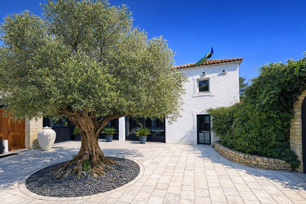 Villa Les Vignes 7