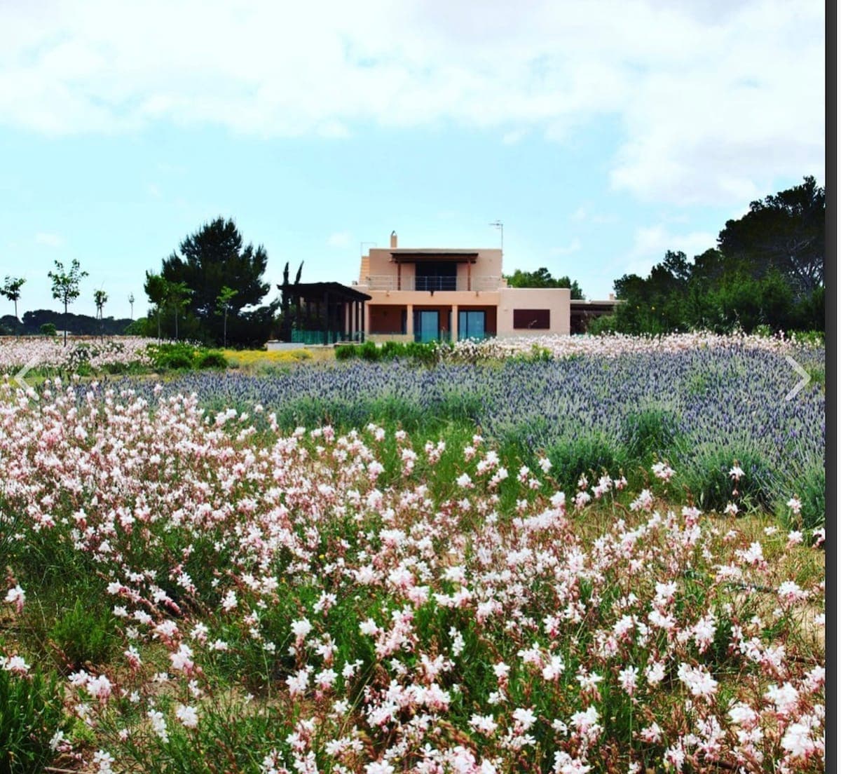 Villa Es Pujols 10
