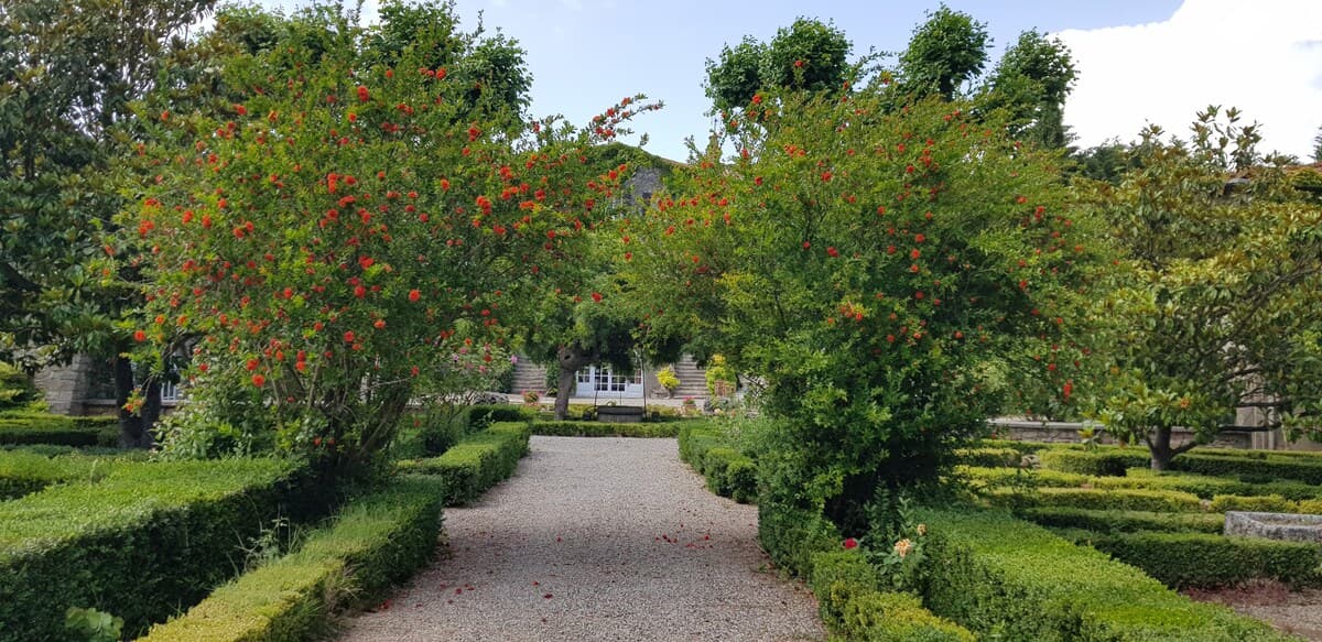 Maison des Oliviers 7