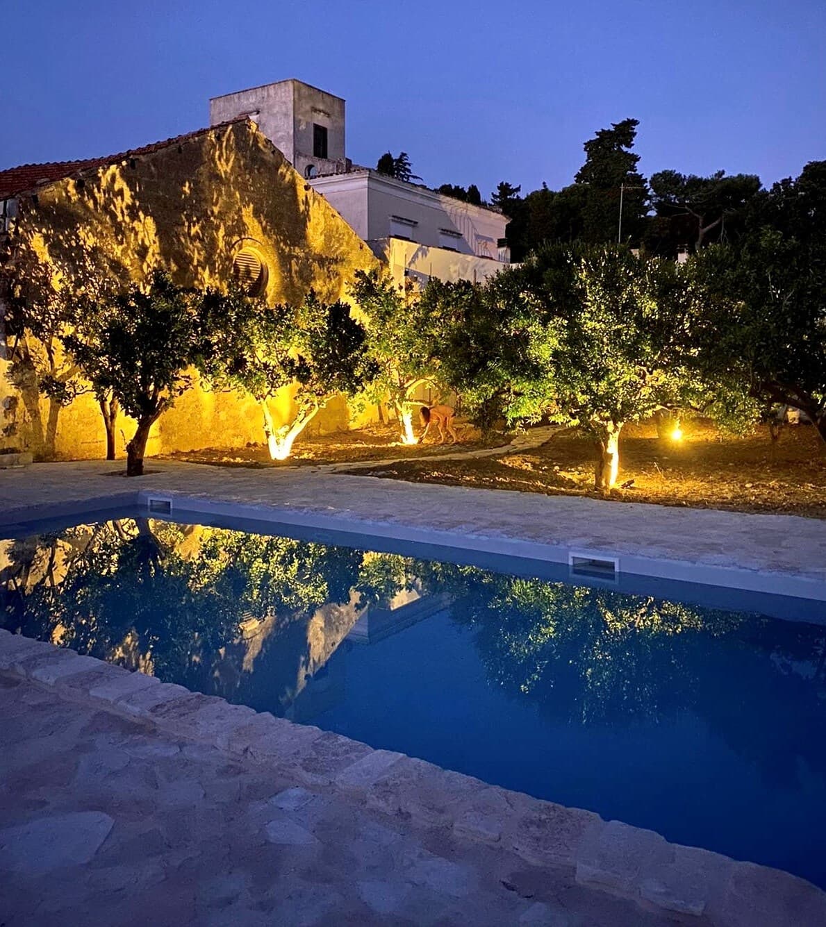 Masseria Trullo 8