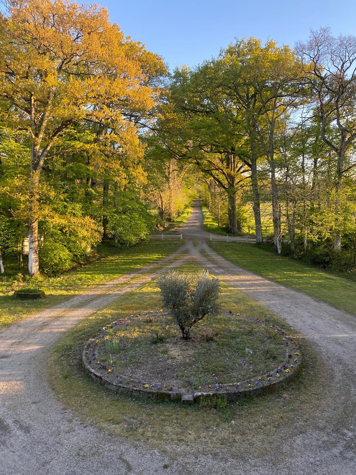 Manoir de Brocéliande 6