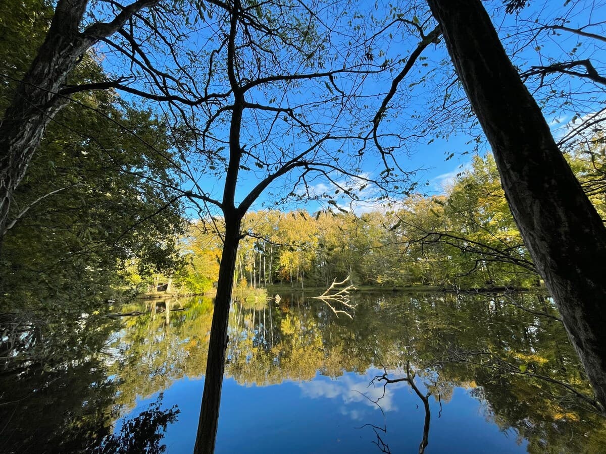 Manoir de Brocéliande 7