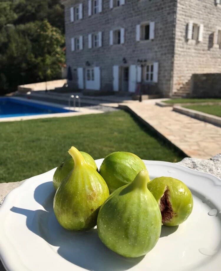 Villa Bjelila 2