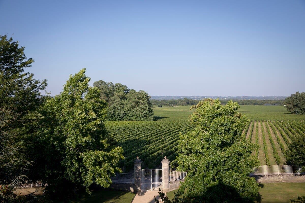 Château Malescasse 4