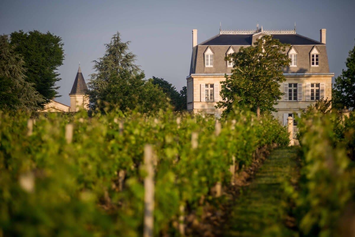 Château Malescasse 5