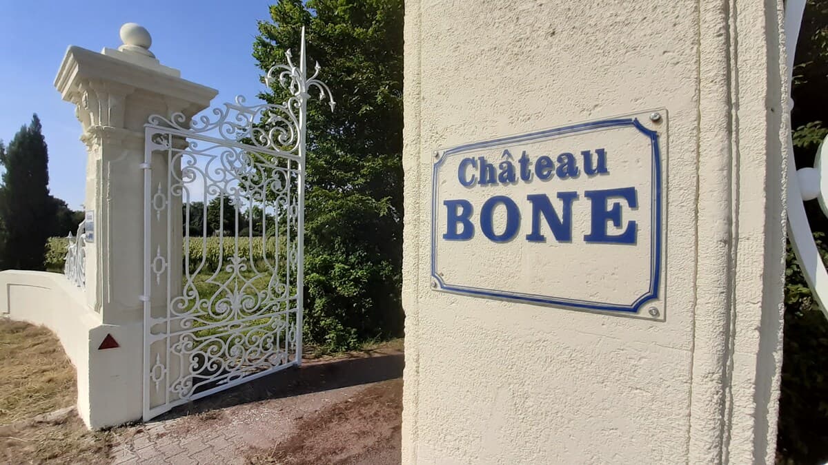 Château Bone 7