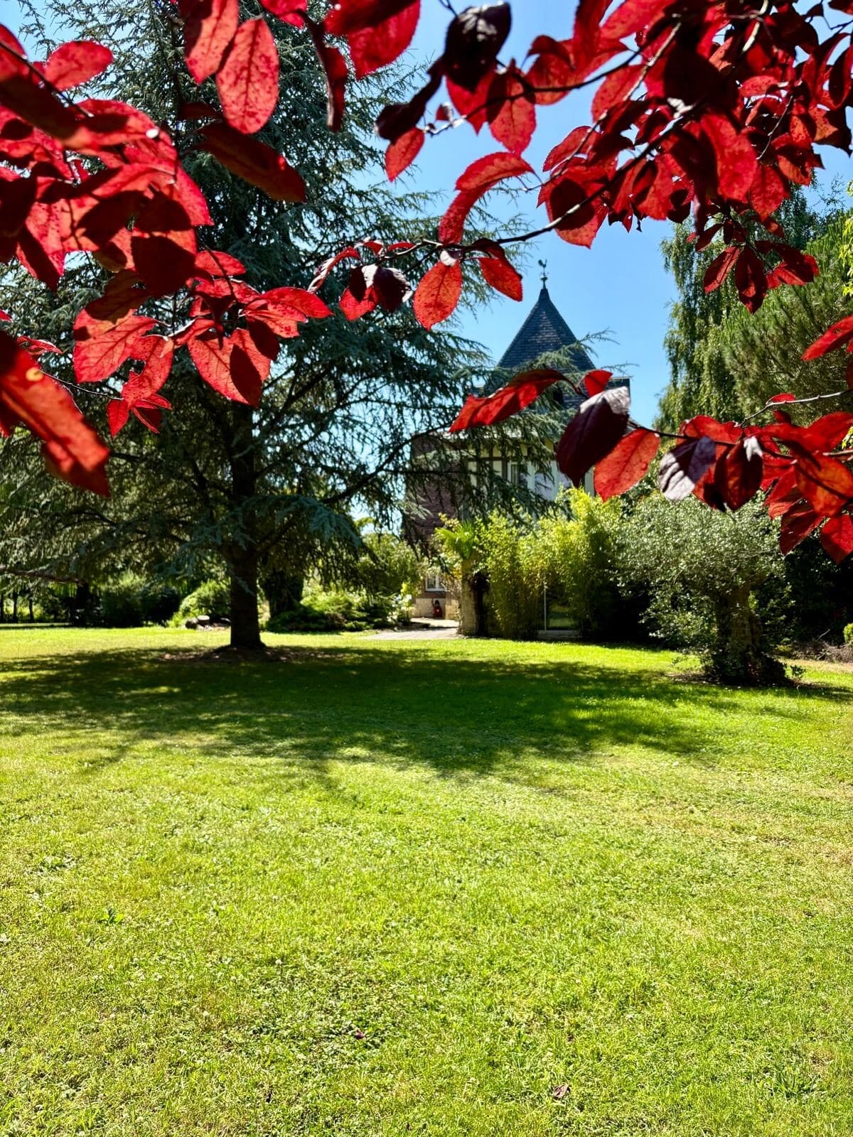 Villa Les Dunes Cabourg 6