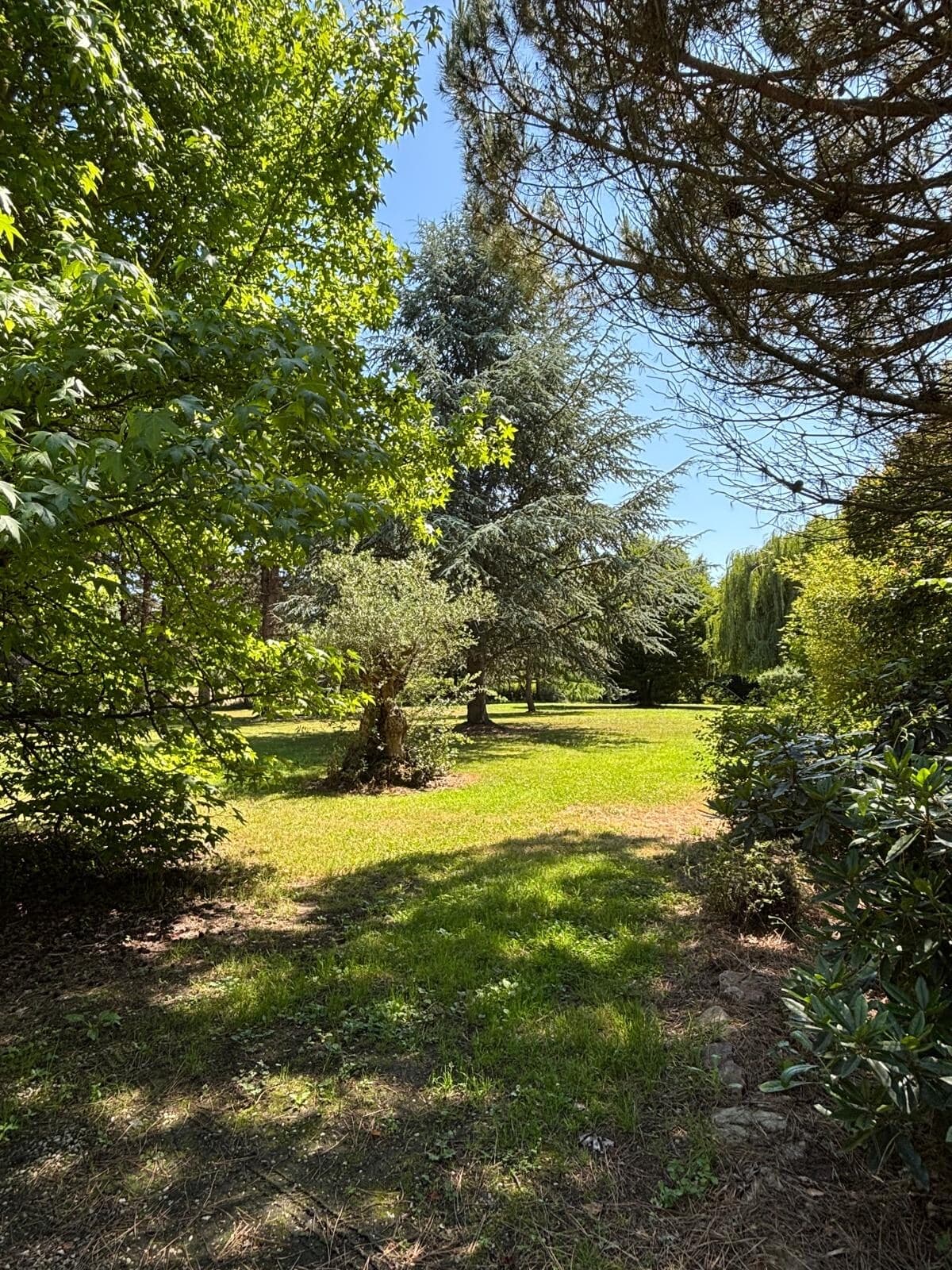 Villa Les Dunes Cabourg 7