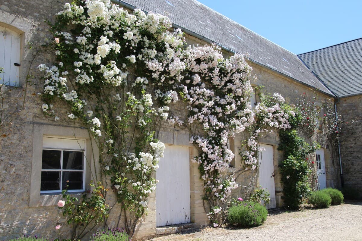 Château d'Argouges 9