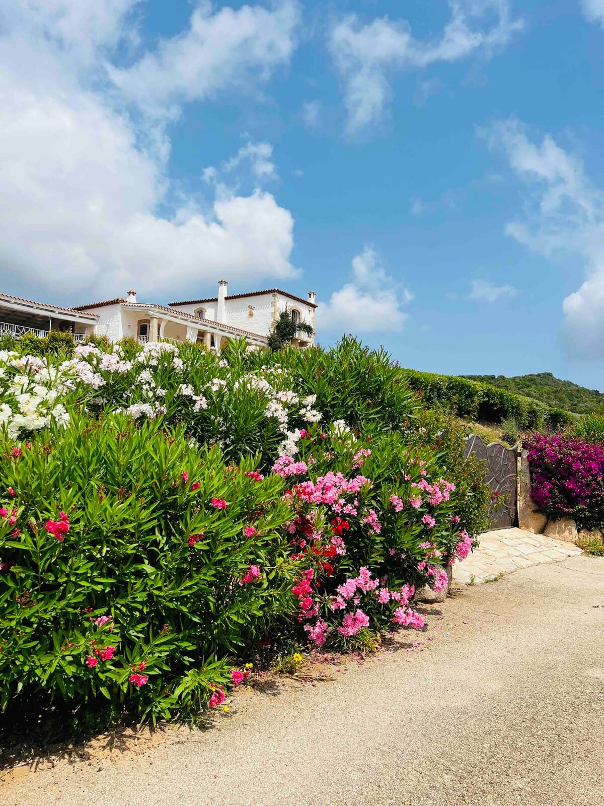 Villa Olbia 5