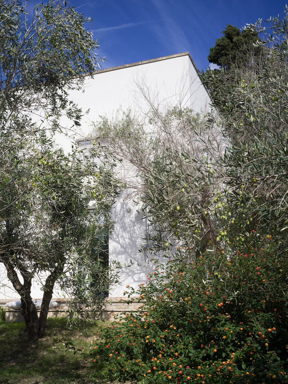 Masseria Giardino 8