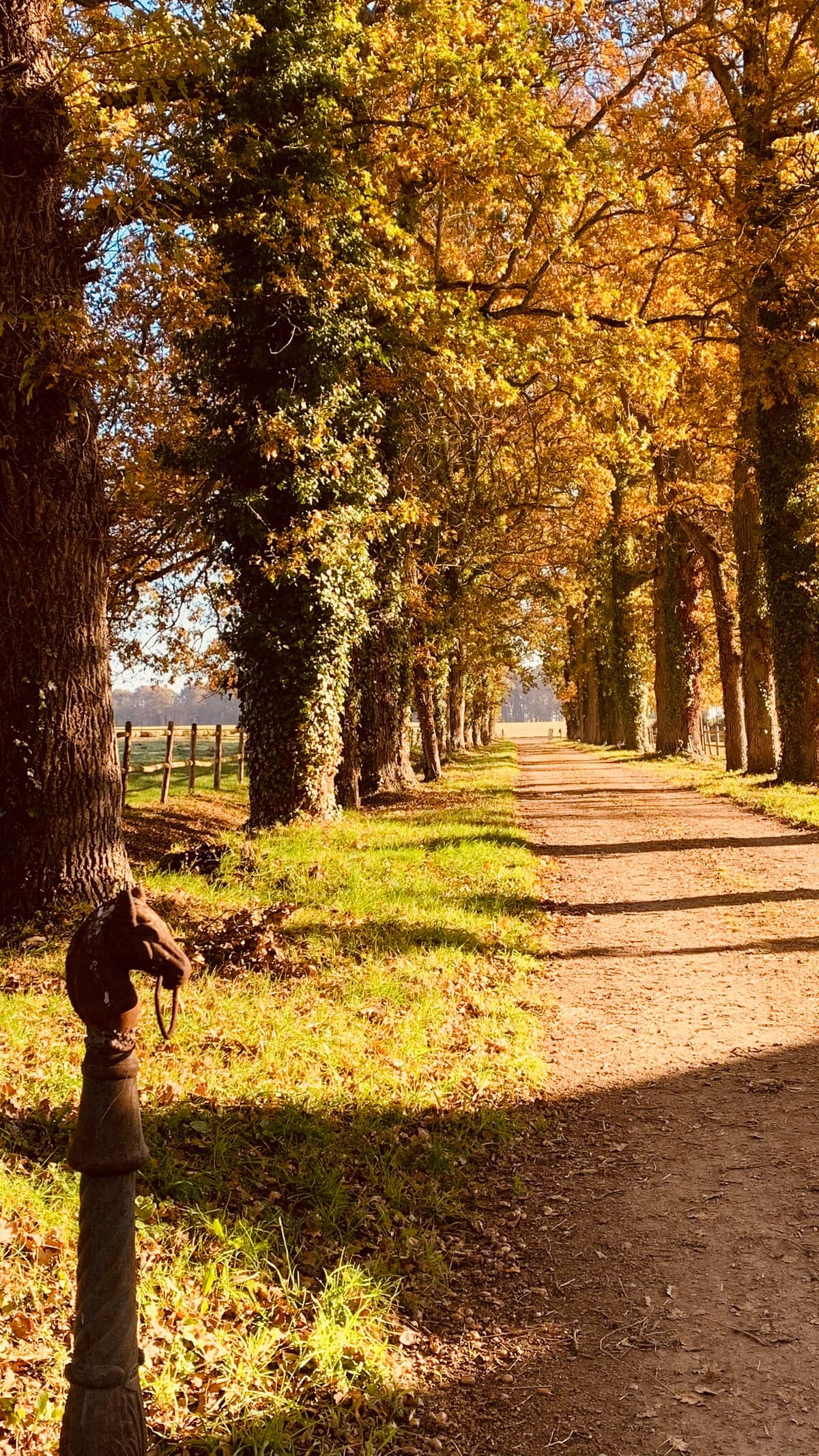 Domaine La Verrerie Bretagne 3