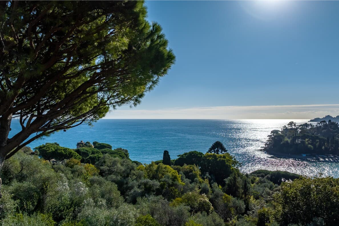 Villa Oliveto 6