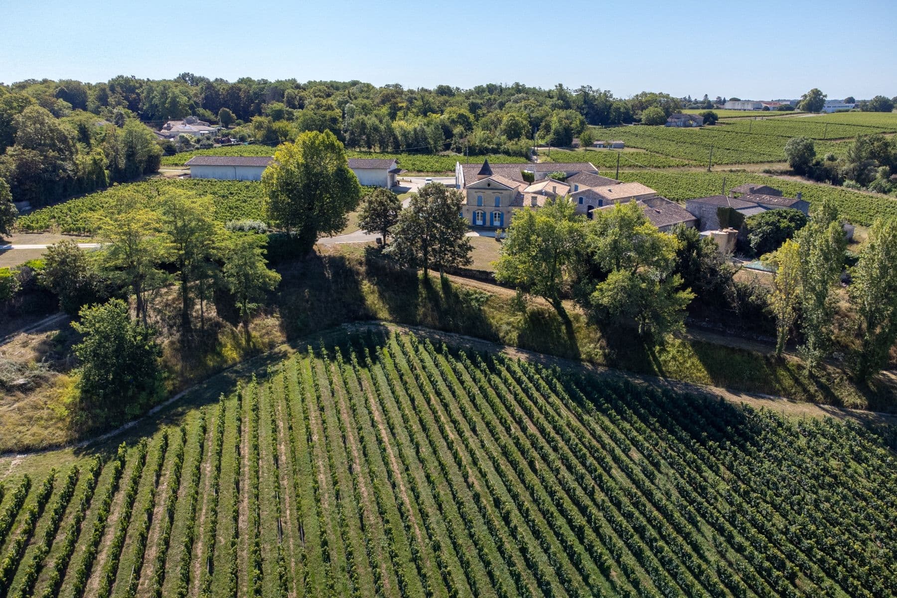 Sale Castle Bordeaux 10 Rooms 2000 m²