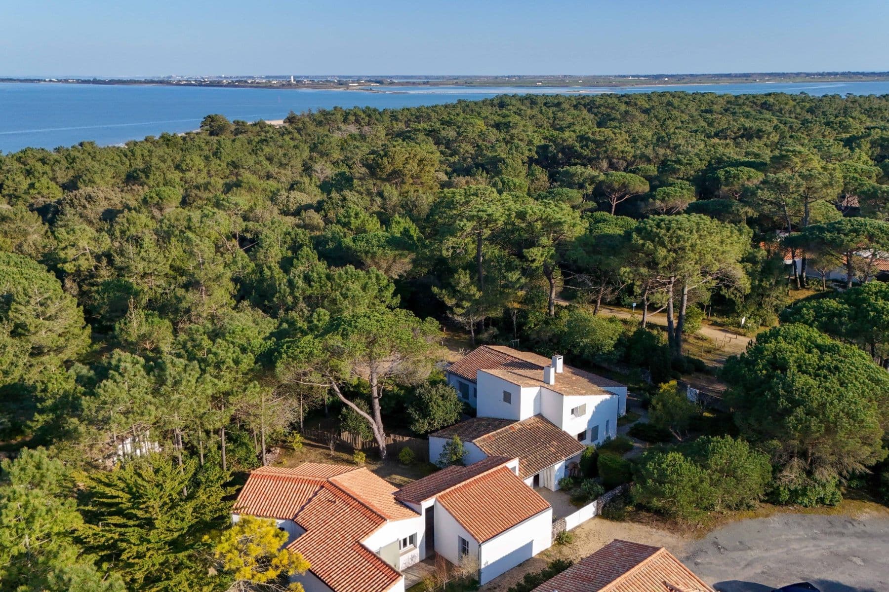 Île de Ré – Les Portes-en-Ré - Exceptional Property Nestled in a Pine Forest