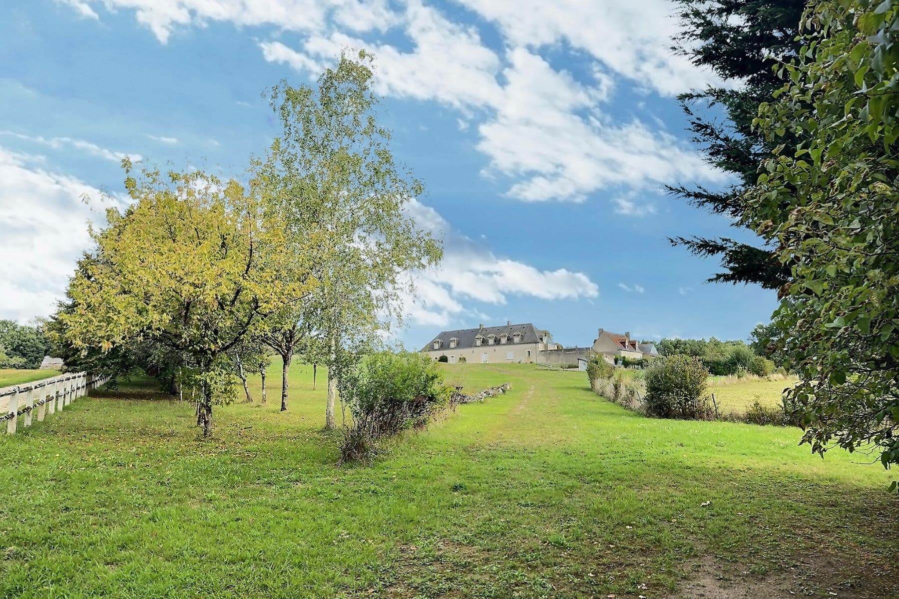 Loire Valley - Near Amboise / Tours - Exceptional Forest Estate – 180