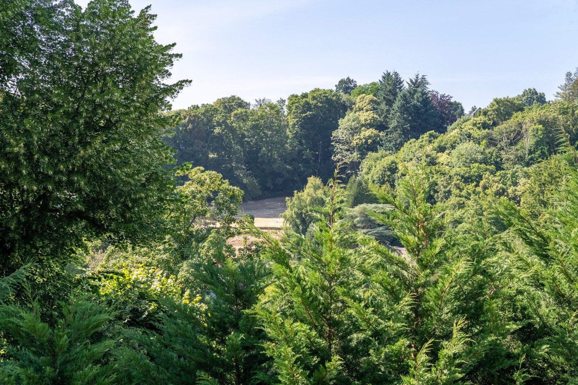 Sale Luxury house Mont-Saint-Aignan 5 Rooms 190 m² 20