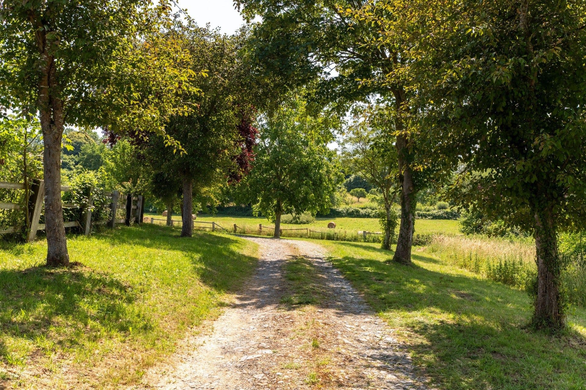 Sale Luxury house Beaumont-en-Auge 8 Rooms 290 m² 6